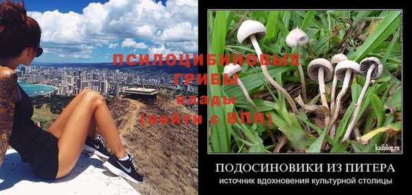 spice Арсеньев