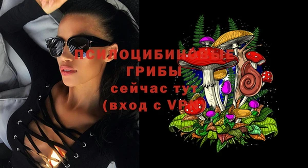 ешки Алексеевка