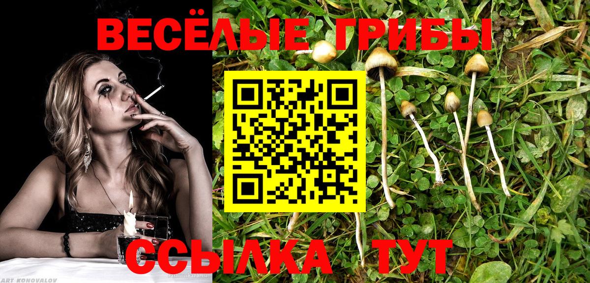 Псилоцибиновые грибы ЛСД  Вход с VPN  Бахчисарай 