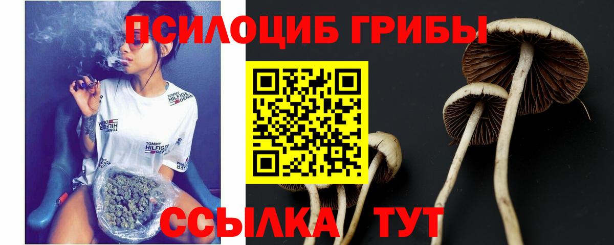 Галлюциногенные грибы мухоморы Бахчисарай